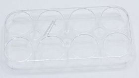 Cup - 1036364 Box [Amica]